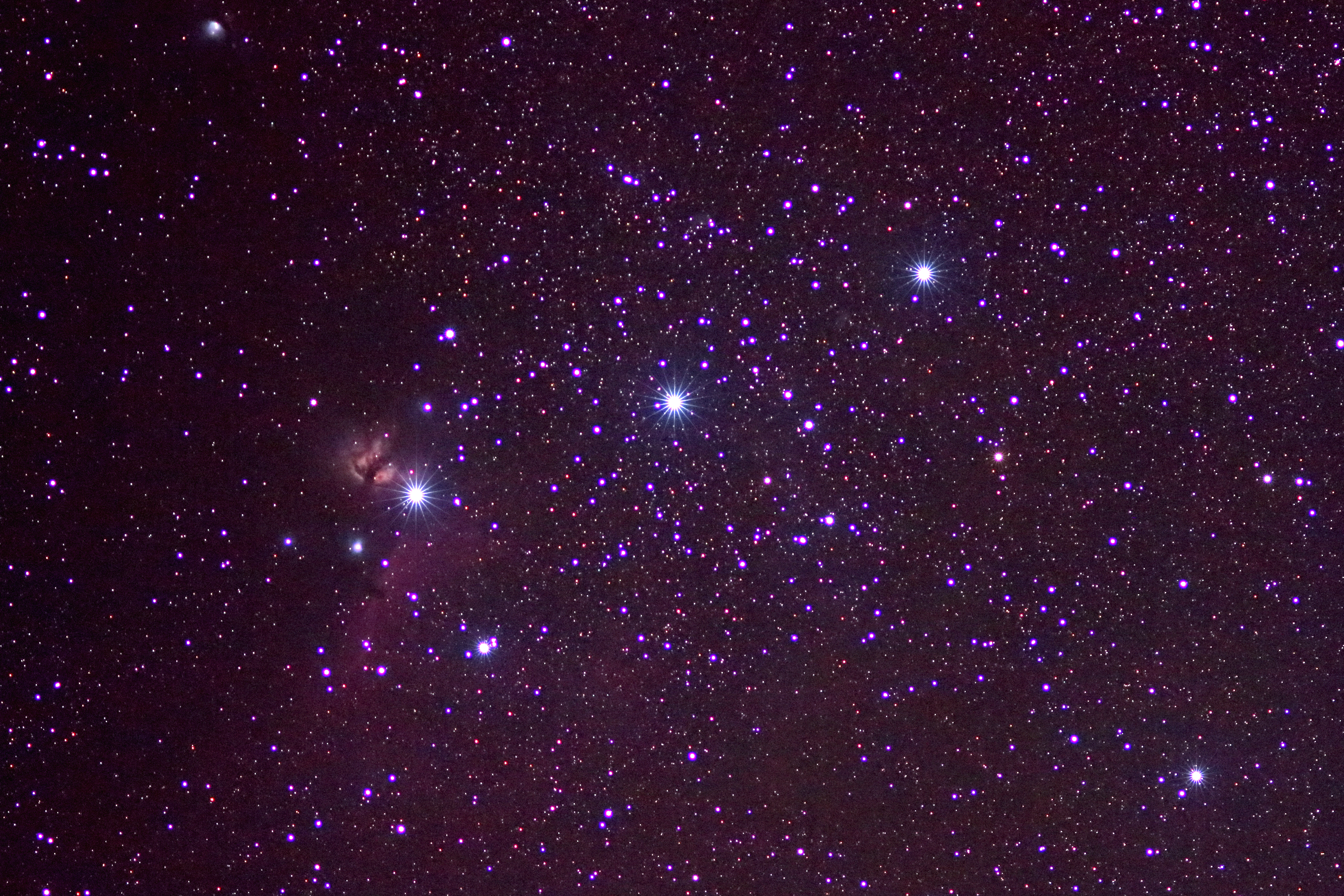 Orion's Belt - March 2021